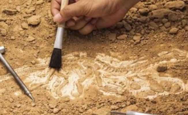 arkeolojik kazılar kıbrıs ile ilgili görsel sonucu"