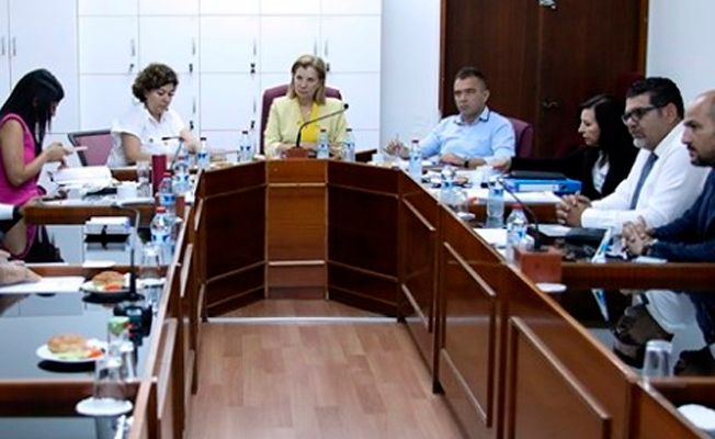 Cumhuriyet Meclisi Dilekçe ve Ombudsman Komitesi toplandı