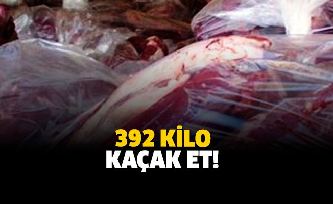 392 kilo sığır eti yakalandı