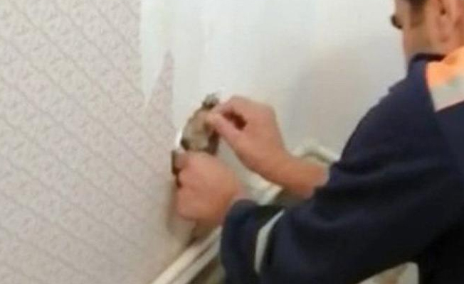 Duvara sıkışan kedi 3 gün sonra kurtarıldı