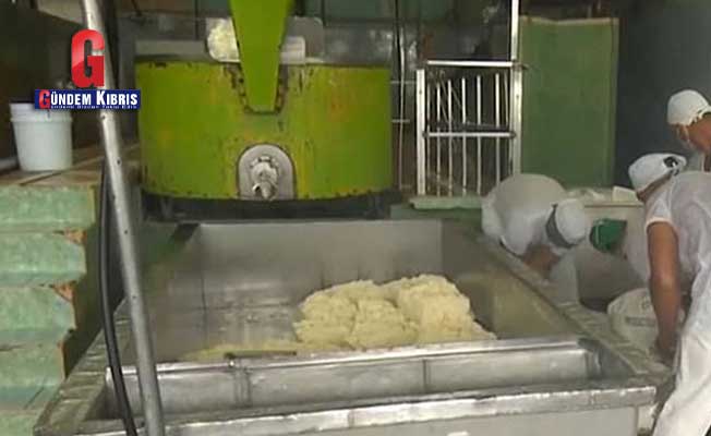 Küba’da devlete ait fabrikadan 1300 kilo peynir çalan işçilere gözaltı