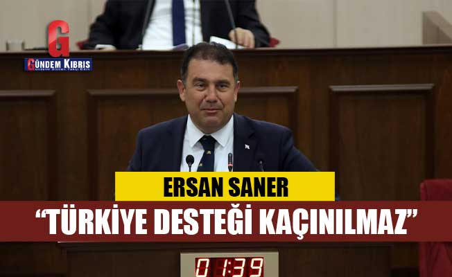 Saner: η αναπόφευκτη υποστήριξη για την Τουρκία