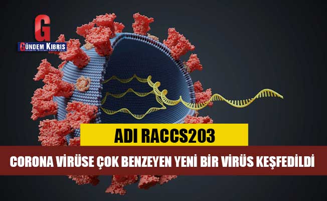 Ένας νέος ιός που μοιάζει πολύ με τον ιό της κορώνας έχει ανακαλυφθεί στην Ταϊλάνδη: RacCS203