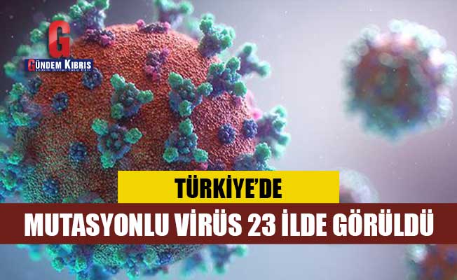 μεταλλαγμένος ιός βρέθηκε σε 23 επαρχίες στην Τουρκία