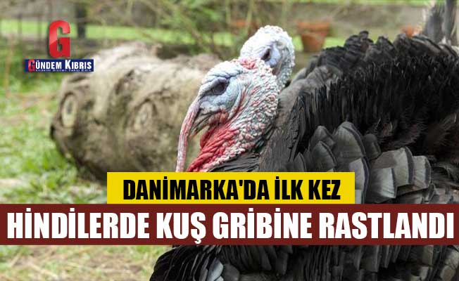 Η γρίπη των πτηνών στην Τουρκία για πρώτη φορά στη Δανία
