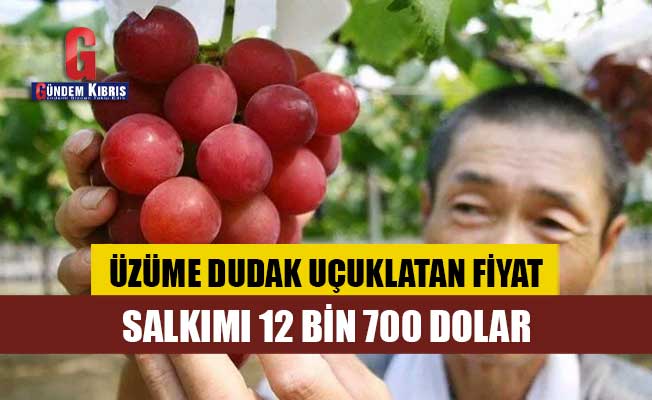 Japonya'da kızıl üzümün salkımı 1,4 milyon yene satıldı