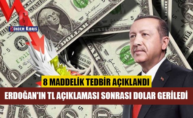 Erdoğan'ın TL mevduatıyla ilgili açıklaması sonrası dolar geriledi