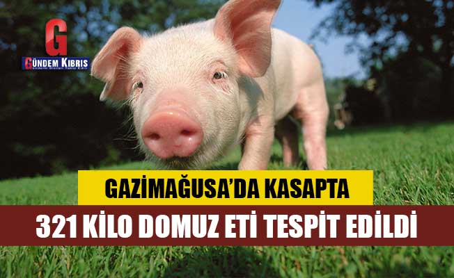 Kasapta 321 kilo domuz eti tespit edildi