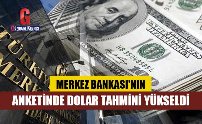Merkez Bankası'nın anketinde dolar tahmini yükseldi
