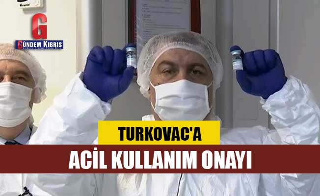 Yerli Covid-19 aşısı TURKOVAC'a acil kullanım onayı