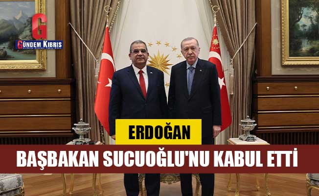 Erdoğan, Başbakan Sucuoğlu'nu Kabul Etti