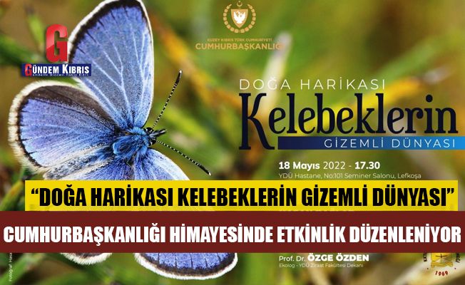 Cumhurbaşkanlığı himayesinde, “Doğa Harikası Kelebeklerin Gizemli Dünyası” adlı bir etkinlik düzenleniyor