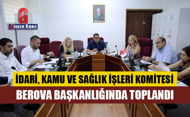 İdari, Kamu ve Sağlık İşleri Komitesi, Berova başkanlığında toplandı