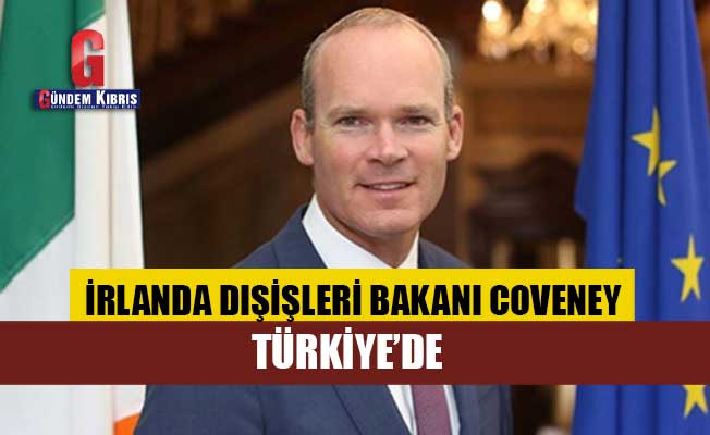 İrlanda Dışişleri Bakanı Coveney Türkiye’de