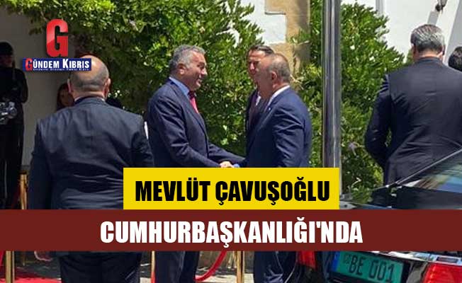 Mevlüt Çavuşoğlu, Cumhurbaşkanlığı'nda