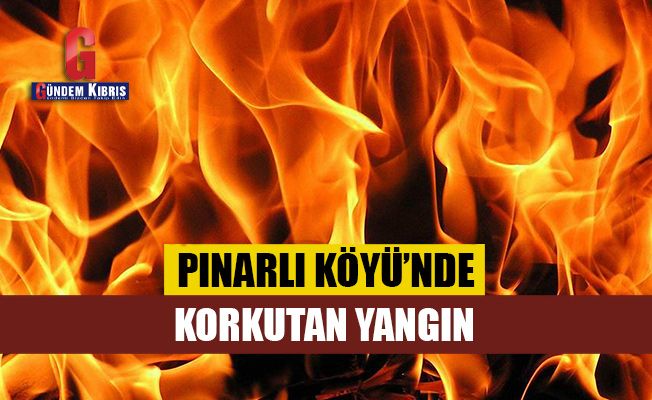Pınarlı Köyü'nde korkutan yangın