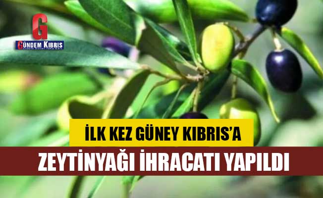 Sanayi Odası ilk kez Güney Kıbrıs’a zeytinyağı ihracatının yapılığını açıkladı