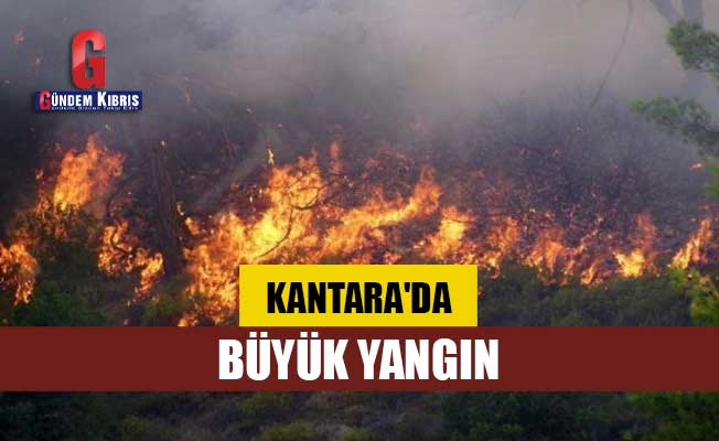 Yedidalga'nın ardından Kantara'da da yangın çıktı