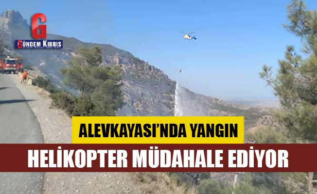 Alevkayası’nda yangın: Helikopter müdahale ediyor