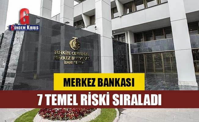 Merkez Bankası 7 temel riski sıraladı