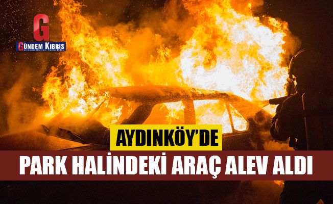 Aydınköy’de park halindeki araç alev aldı