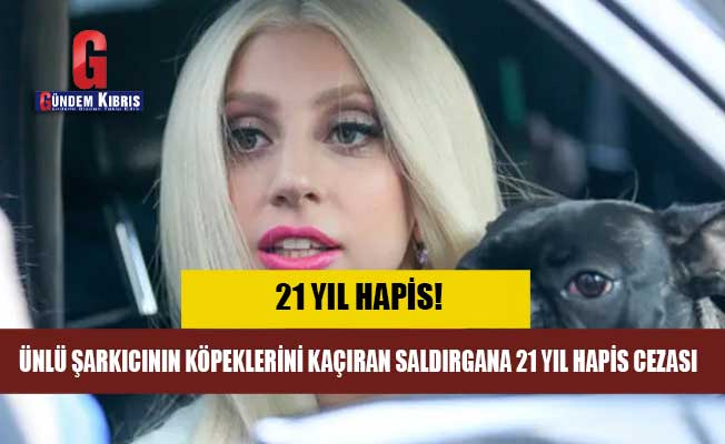 Lady Gaga'nın köpeklerini kaçıran saldırgana 21 yıl hapis cezası
